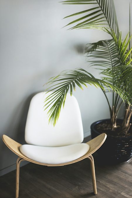 Light wood desk and chair with a potted plant